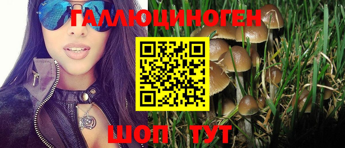 Псилоцибиновые грибы GOLDEN TEACHER Кострома